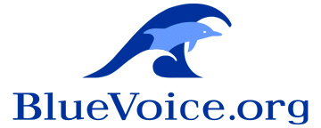 BlueVoice