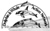 Whale and Dolphin Action Network