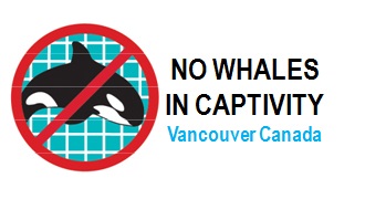 No Whales in Captivity