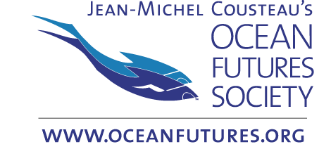 Ocean Future's Society