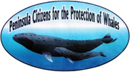 Peninsula Citizens for the Protection of Whales